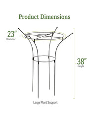 Essex Plant Supports