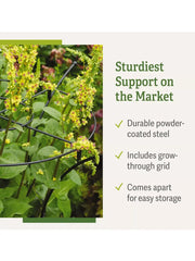 Essex Plant Supports