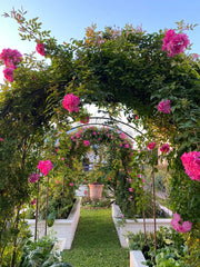 Jardin Rose Arch