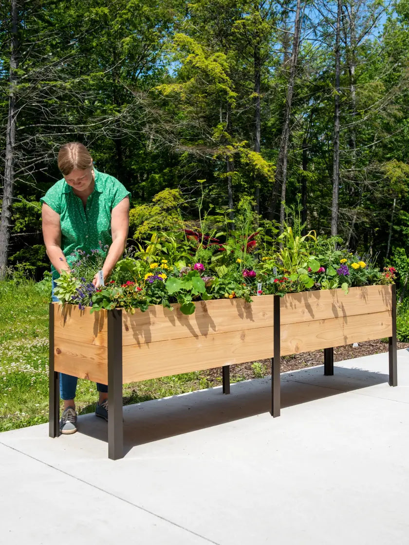 Elevated Cedar Planter Box, 2' x 8' Elevated Cedar Planter Box, 2' x 8'