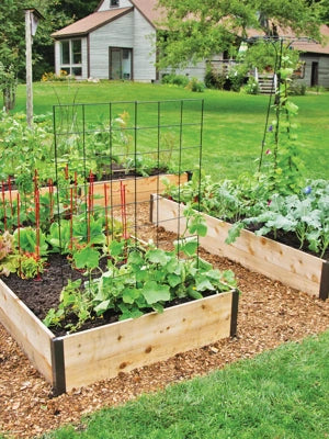 Deep Root Cedar Raised Beds, 4’ Wide (14” D) Deep Root Cedar Raised Beds, 4’ Wide (14” D)
