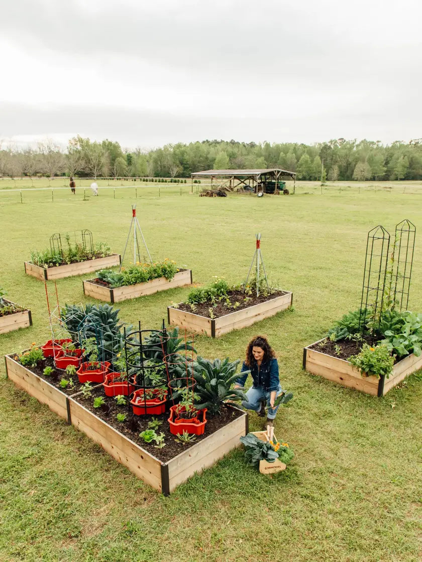Deep Root Cedar Raised Beds, 4’ Wide (14” D) Deep Root Cedar Raised Beds, 4’ Wide (14” D)