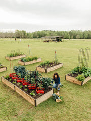 Deep Root Cedar Raised Beds, 4’ Wide (14” D)