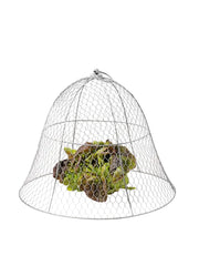 Chicken Wire Cloche