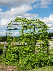Titan Squash Tunnel