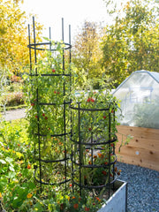 Titan Tomato Cages, Set of 3