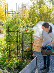 Titan Tomato Cages, Set of 3