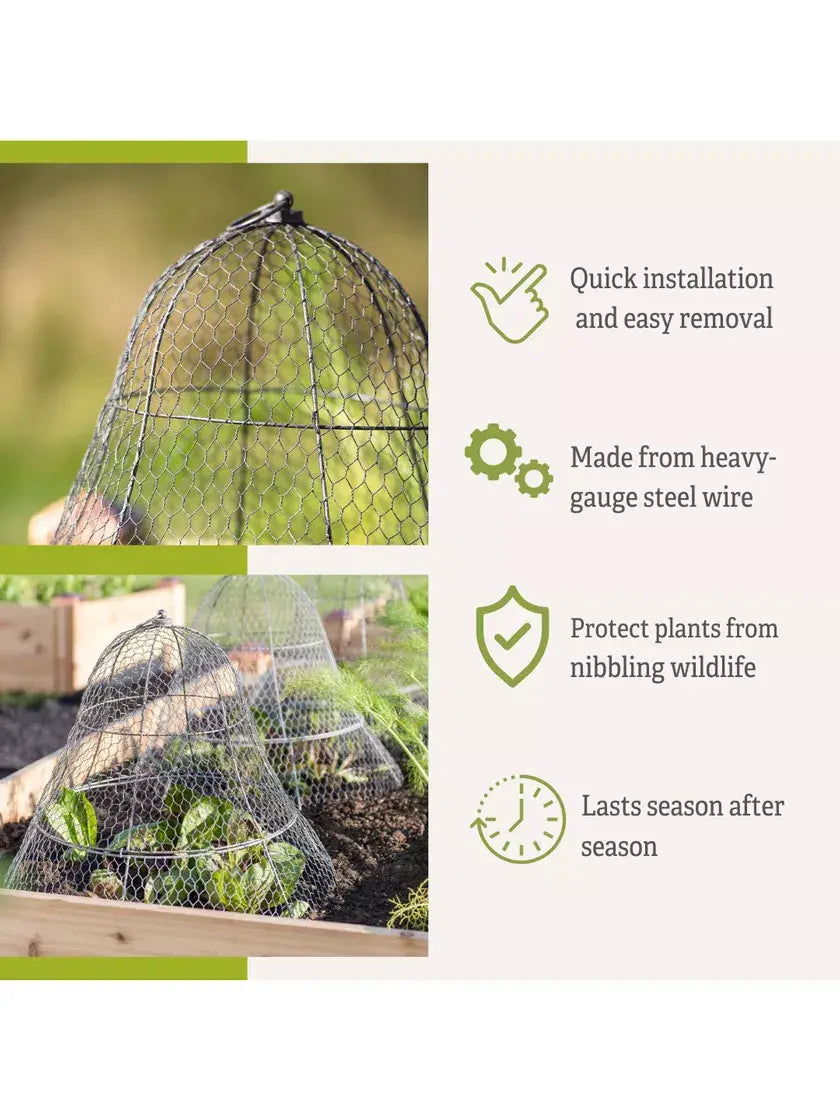 Chicken Wire Cloche with Extension Chicken Wire Cloche with Extension