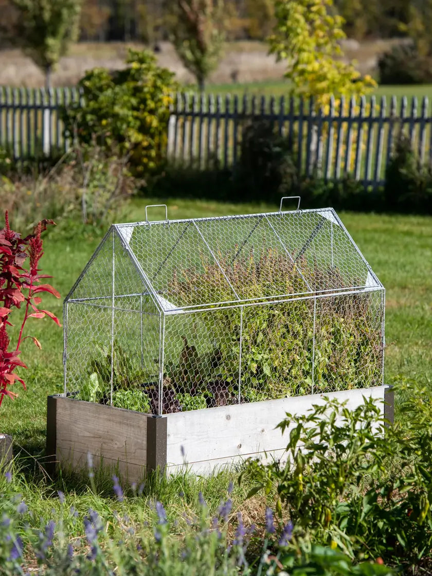 Chicken Wire Crop Coop Chicken Wire Crop Coop