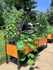 2’ x 8’ Arch Trellis for Planter Boxes