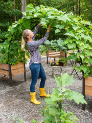 2’ x 8’ Arch Trellis for Planter Boxes