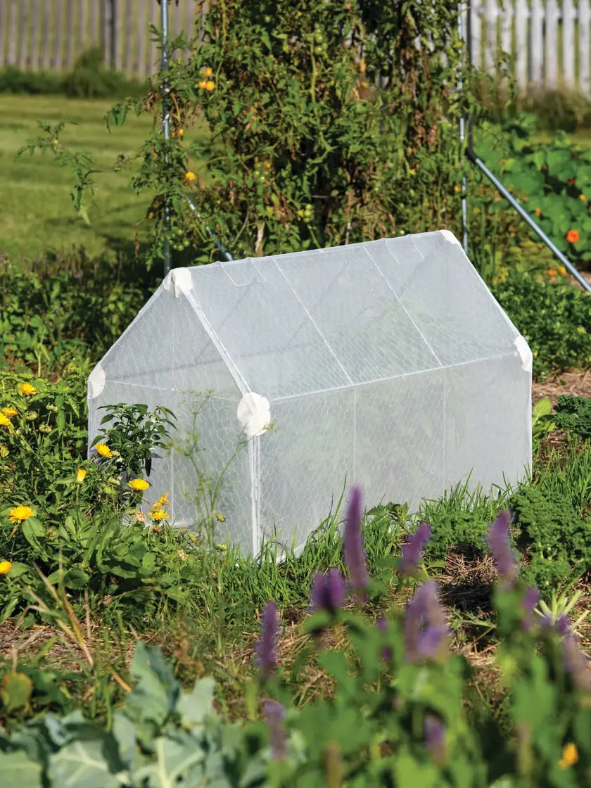 Chicken Wire Crop Coop Chicken Wire Crop Coop