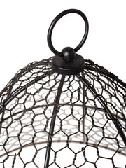Chicken Wire Cloche