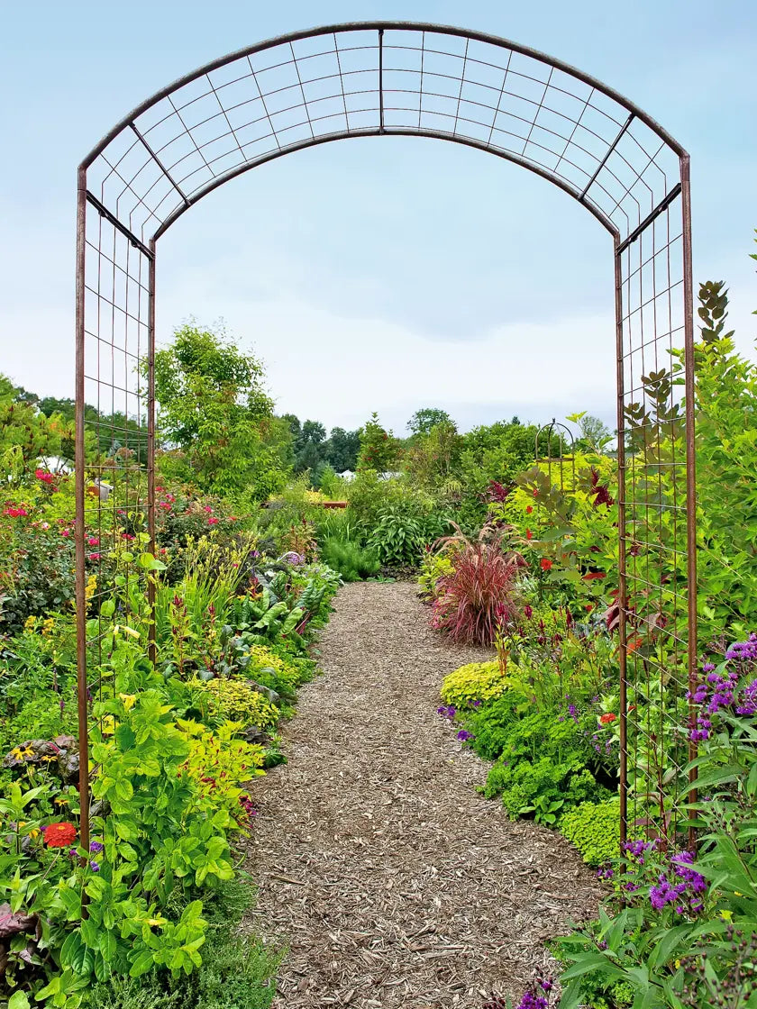 Jardin Rose Arch Jardin Rose Arch