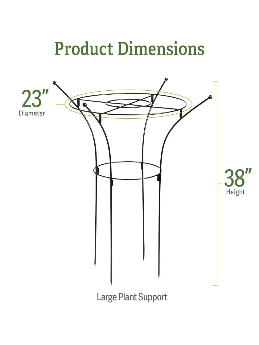 Essex Plant Supports