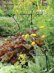 Essex Plant Supports