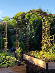 Jardin Rose Arch