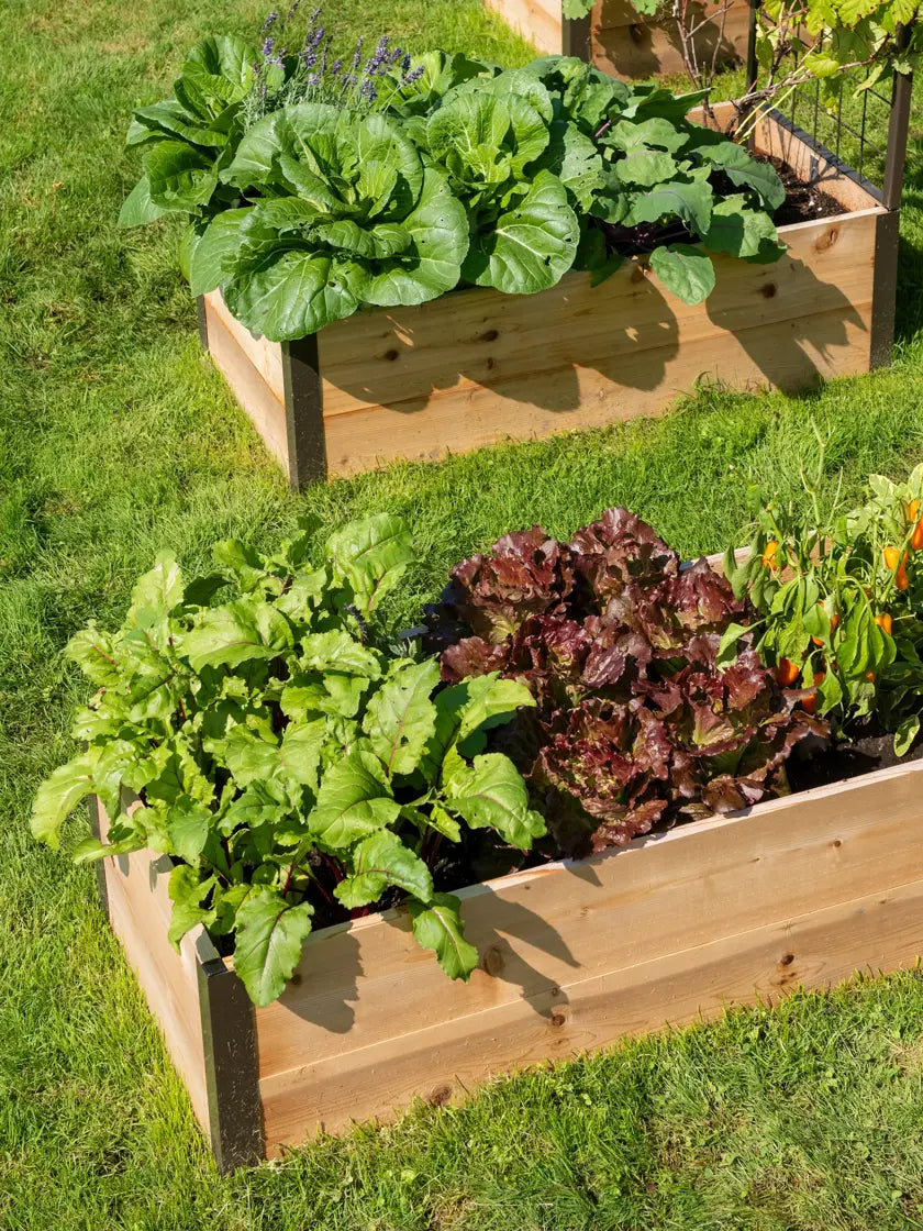 Garden Lover USA