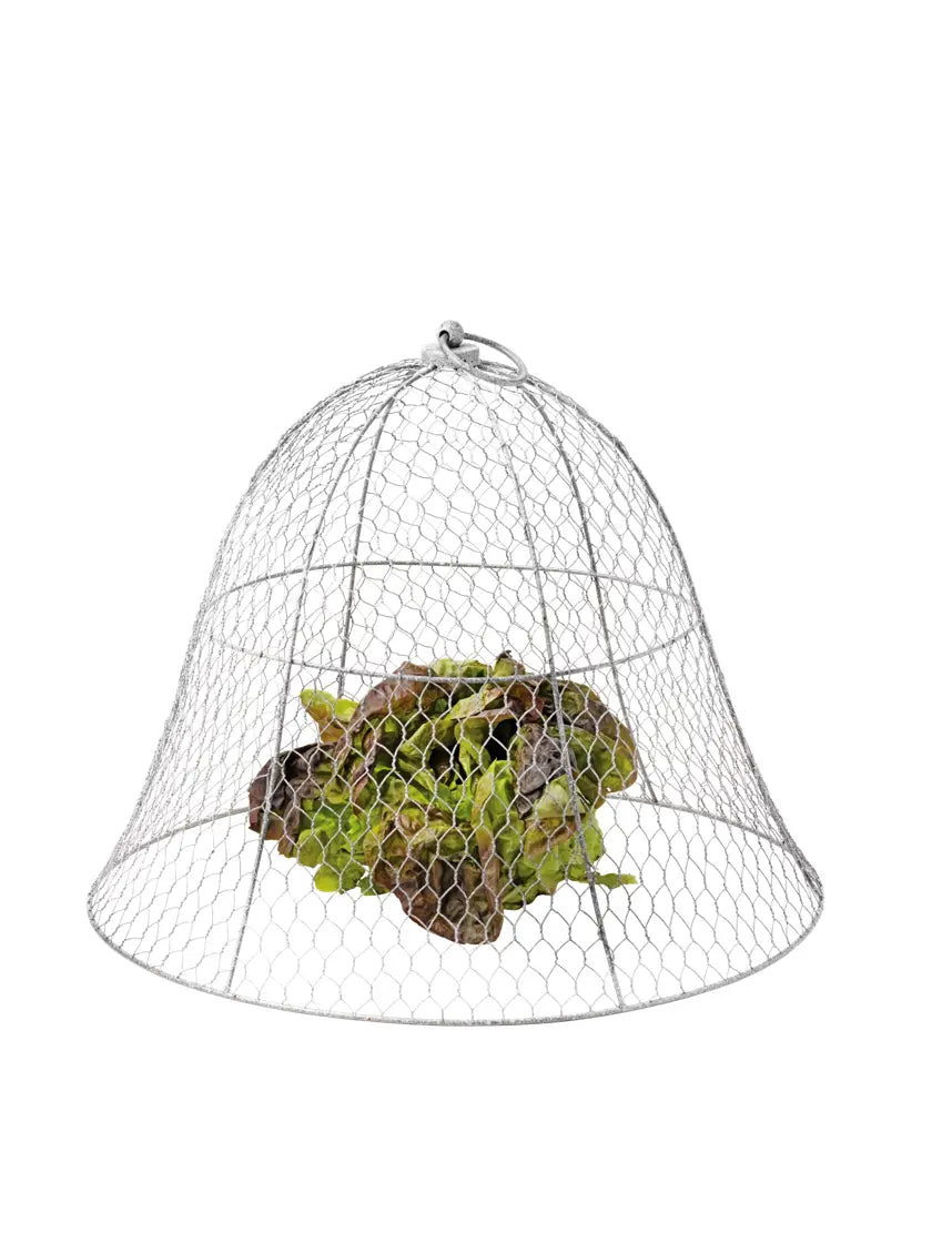 Chicken Wire Cloche