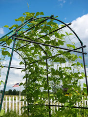 Titan Squash Tunnel
