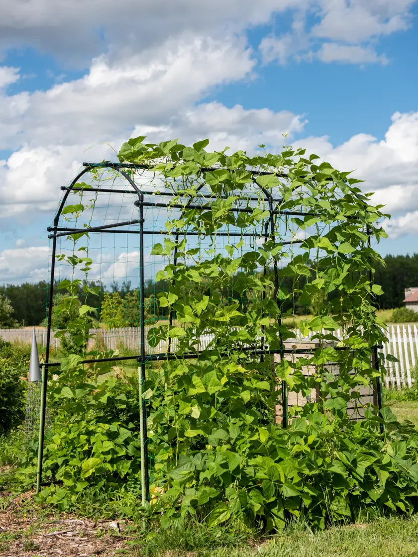 Titan Squash Tunnel