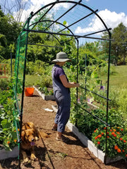 Titan Squash Tunnel