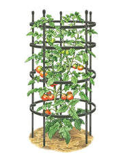 Titan Tomato Cages, Set of 3