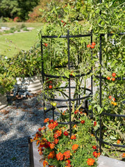 Titan Tomato Cages, Set of 3