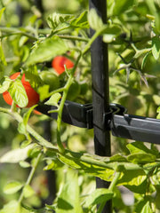 Titan Tomato Cages, Set of 3