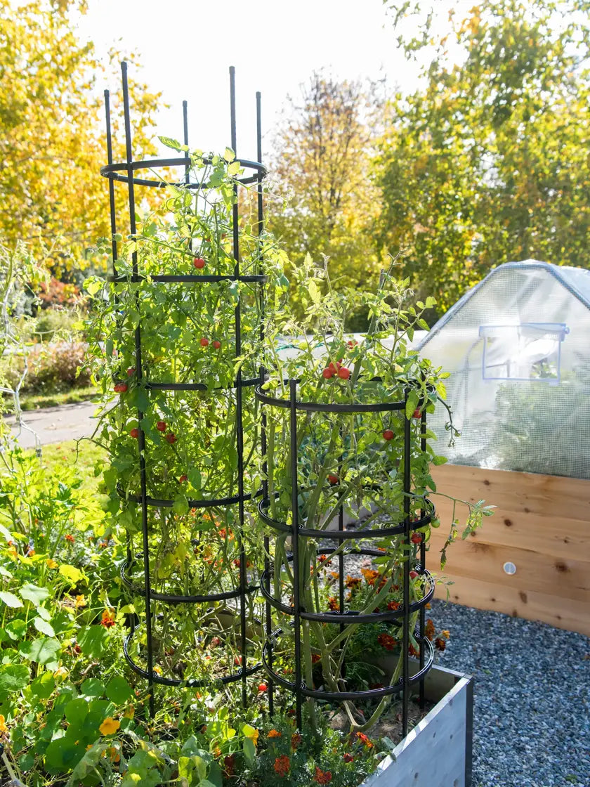 Titan Tomato Cages, Set of 3
