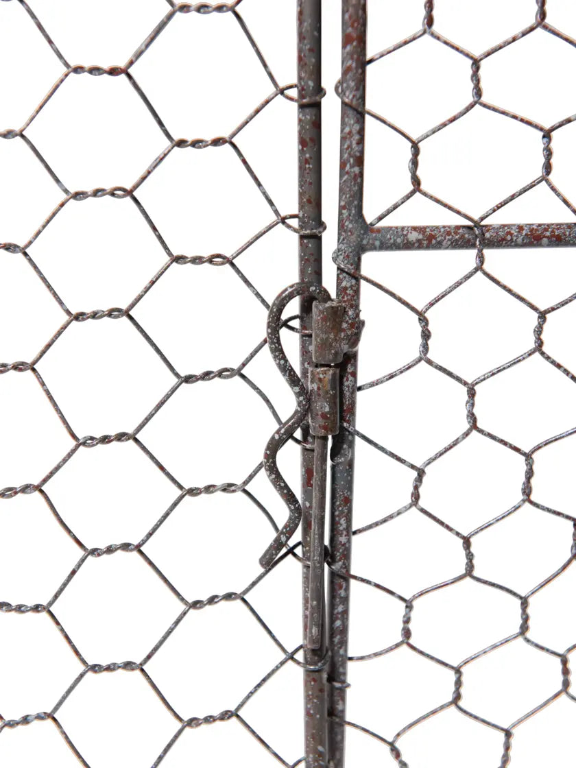 Chicken Wire Cloche Extension