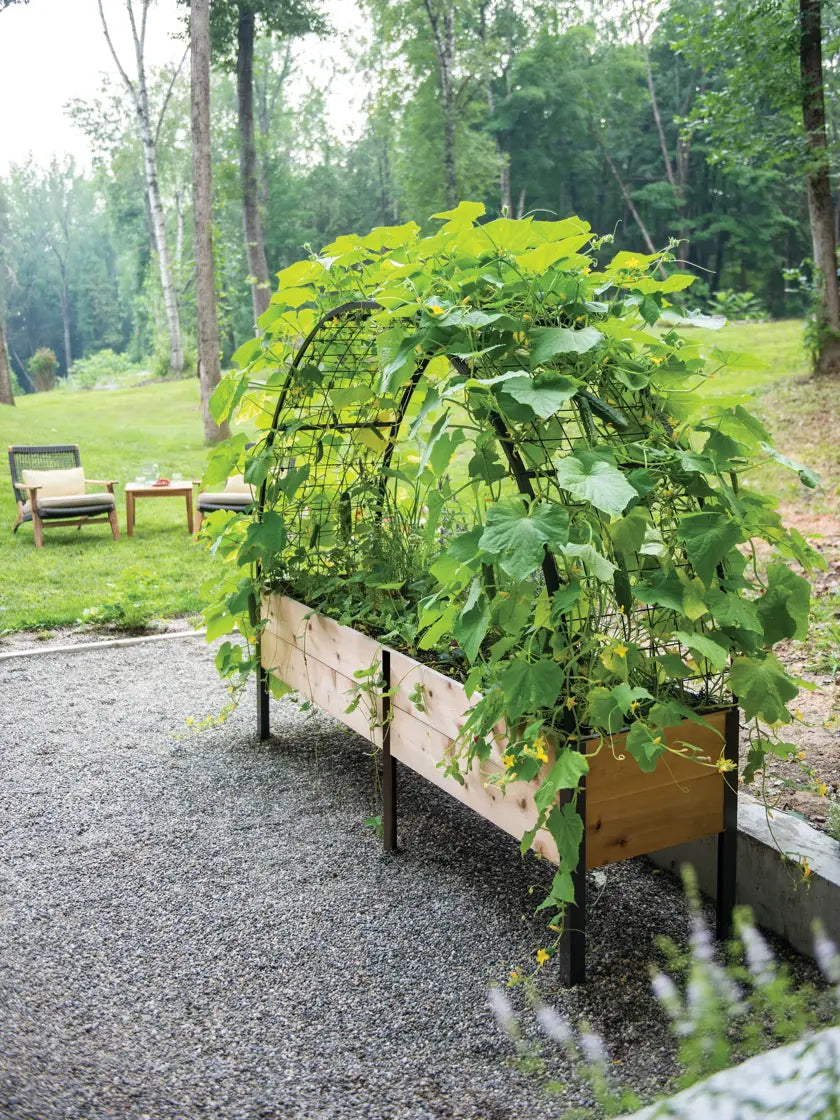 Titan Squash Tunnel