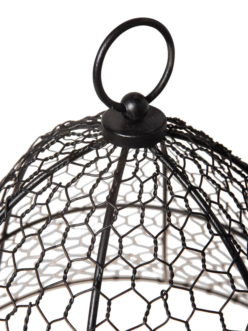 Chicken Wire Cloche